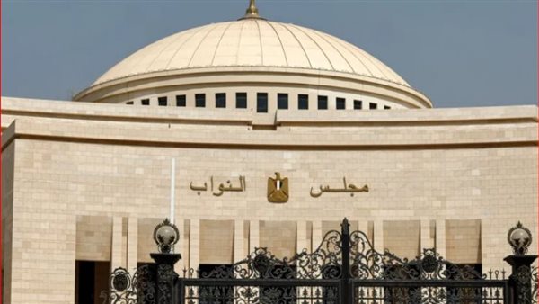 "الطفل ليس قطعة أرض ليُمنح عليها تمكينا".. مقترحات برلمانية لتخفيض سن الحضانة إلى 9 سنوات
