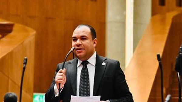 برلمانية المؤتمر: تعديل قانون المستوردين أصبح ضرورياً لضبط حركة الاستيراد