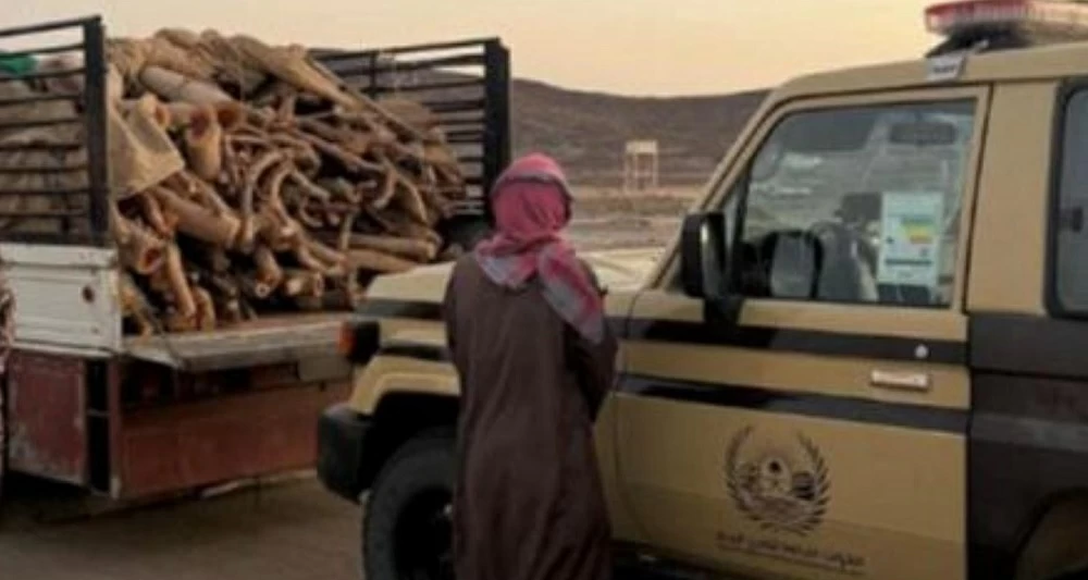 «الأمن البيئي»: ضبط مخالف في محمية الأمير محمد بن سلمان الملكية