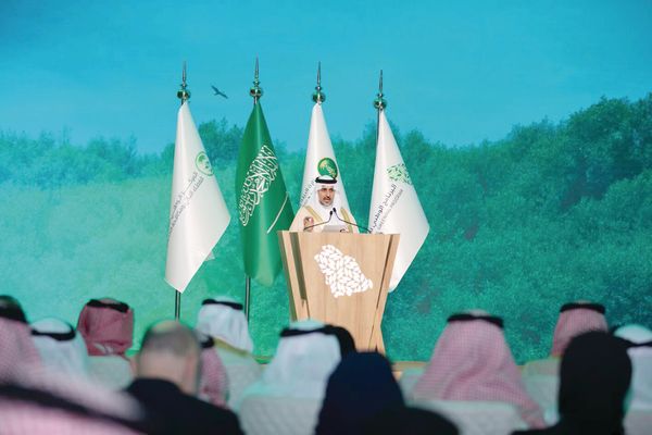 المملكة تحقق إنجازاً بيئياً نوعياً