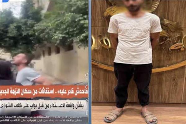 ضبط حارس عقار بعد ظهوره في فيديو التعدي على كلاب ضالة بالقاهرة