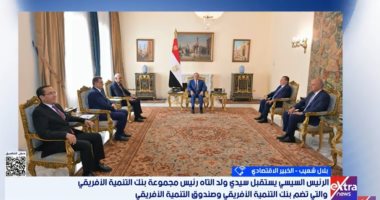 خبير اقتصادى: مصر رائدة في البنية التحتية وتعميق التعاون الأفريقي