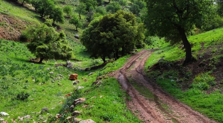 عجلون: دعوات لاستحداث مسارات سياحية زراعية لغايات الاستثمار والتنمية