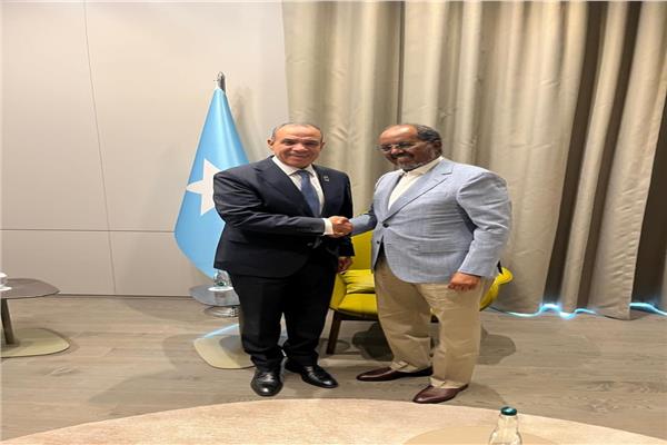 وزير الخارجية يلتقي الرئيس الصومالي ويؤكد مواصلة دعم مصر للصومال