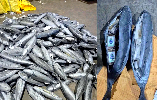 ميناء طنجة المتوسط.. إحباط محاولة تهريب 4 اطنان من الحشيش