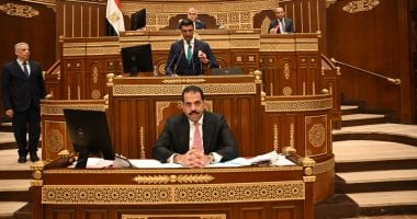 وزير الصناعة أمام مجلس الشيوخ: نستهدف 100 مليار دولار صادرات فى 2030