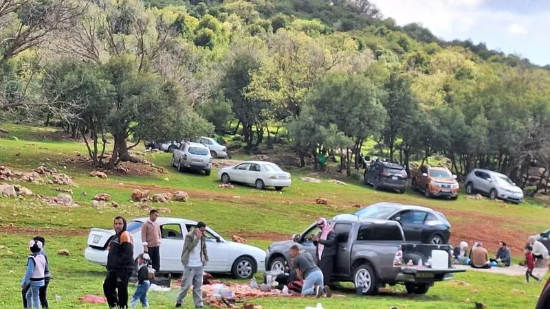 حركة سياحية نشطة في عجلون وأكثر من 7 آلاف زائر للتلفريك