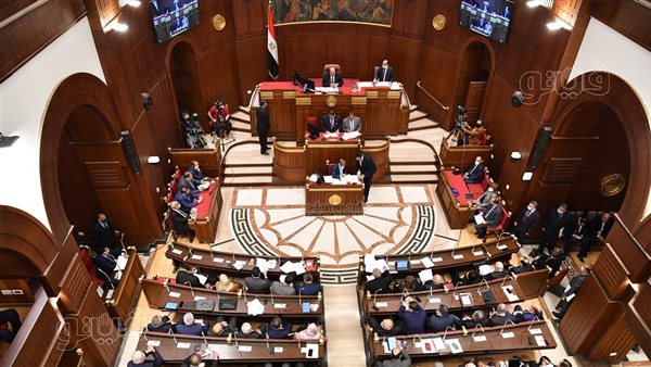 تفاصيل طلب مناقشة أمام الشيوخ بشأن تطوير مراكز الشباب