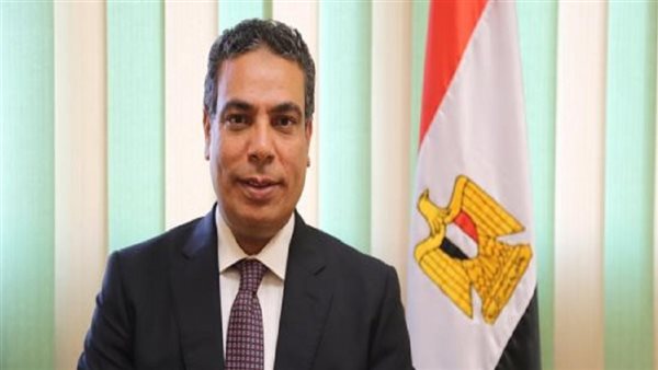 متحدث التعليم العالي لـ "فيتو": الإعلان عن اسم رئيس معهد البحوث الفلكية خلال أيام