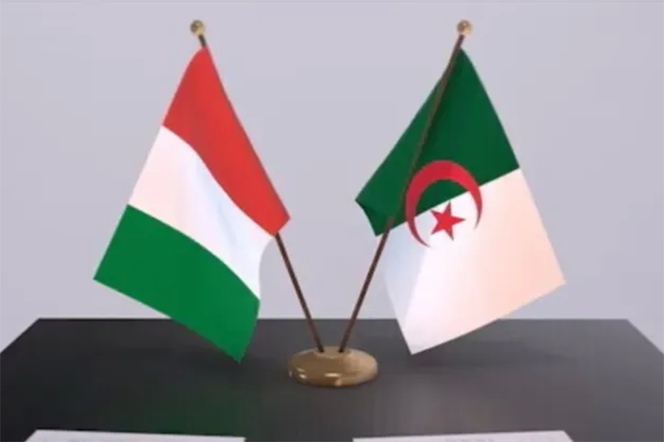إطلاق فدرالية الطلبة والنخبة الجزائرية في إيطاليا