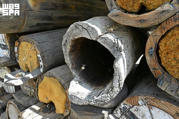 ملاذات الشهد القديمة في عسير.. إرثٌ هندسي يجسد عبقرية الأجداد في صناعة بيوت العسل