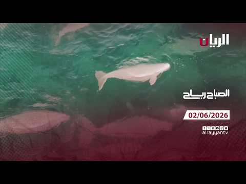 برنامج الصباح رباح