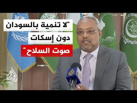 Djibouti's Foreign Minister: No development in Sudan without silencing the guns and bringing all ...