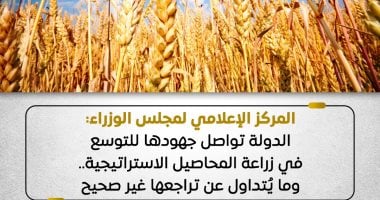 مجلس الوزراء: الدولة تواصل جهودها للتوسع في زراعة المحاصيل الاستراتيجية