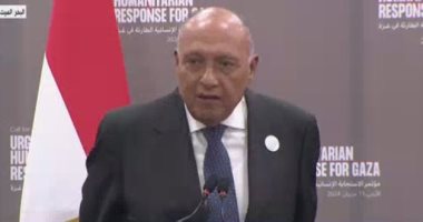 رئيس "خارجية النواب" يوافق على الحساب الختامي ويؤكد ضرورة تعظيم الموارد