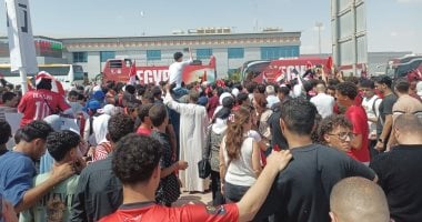 برلماني: الاستقبال التاريخي للمنتخب في العلمين يؤكد جاهزية مؤسسات الدولة