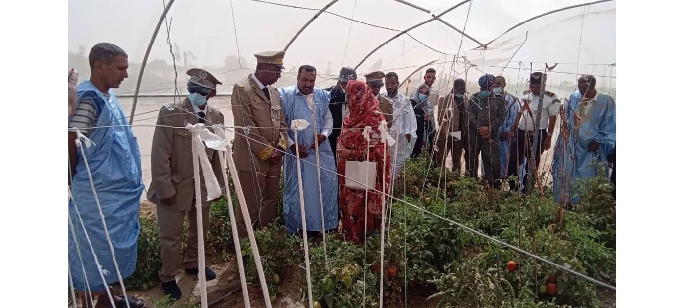 والي اينشيري يؤدي زيارة ميدانية لمقاطعة بنشاب