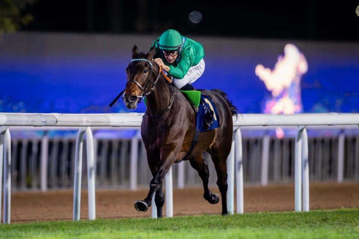 "نخبة الخيول" تتنافس على ألقاب 3 بطولات بمضمار أبوظبي