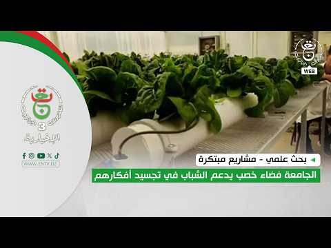 بحث علمي - مشاريع مبتكرة | الجامعة فضاء خصب يدعم الشباب في تجسيد أفكارهم
