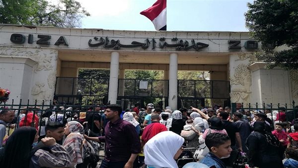 66 ألف زائر في 3 أيام.. حدائق الحيوان تكسر الأرقام القياسية|فيديو