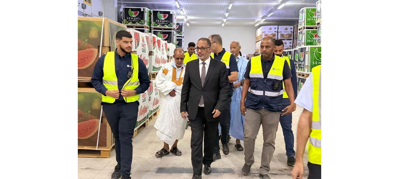 رئيس اتحاد أرباب العمل يتفقد التحضيرات النهائية لتصدير أول شحنة من البطيخ عبر البحر