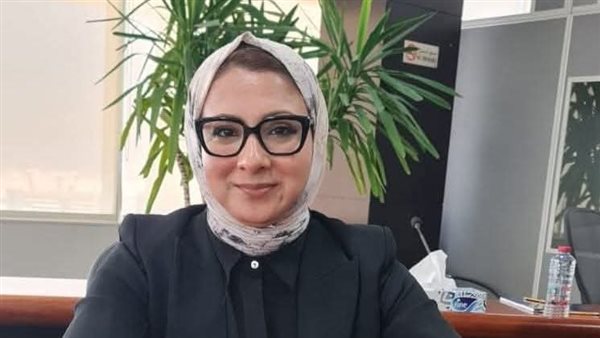 محافظ الوادي الجديد تقرر إعادة توصيل الكهرباء للأراضي الزراعية وشهرين لتوفيق الأوضاع