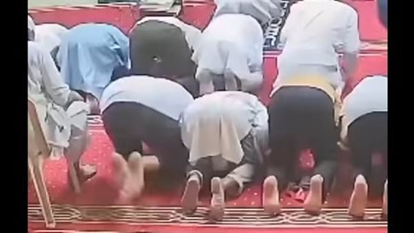 فيديو أفعى داخل مسجد تثير الذعر بين المصليين