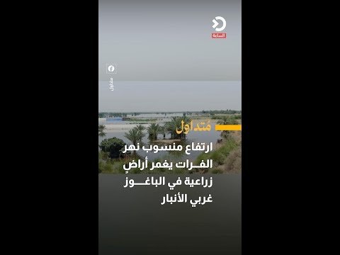 ارتفاع منسوب نهر الفرات يغمر أراضٍ زراعية في الباغوز غربي الأنبار