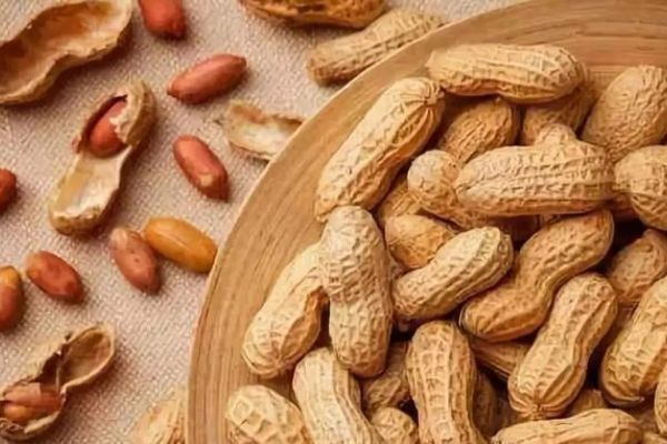 دراسة: بكتيريا الفم والأمعاء قد تساعد في تقليل حساسية الفول السوداني