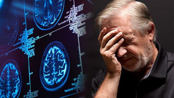 عشبة غير متوقعة تحمي من الزهايمر وضعف الذاكرة