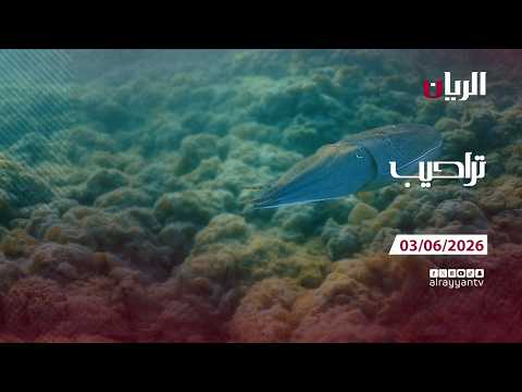 برنامج تراحيب