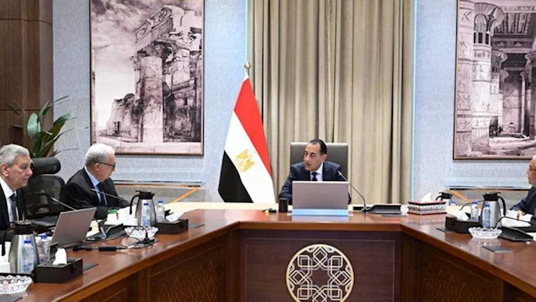 مدبولي يتابع خطة تطوير الشركة القابضة للأدوية لتعزيز التصنيع المحلي وز