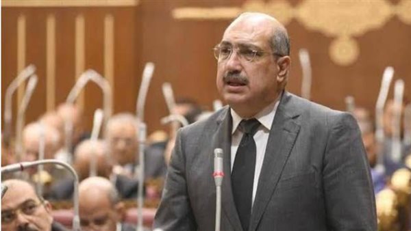 برلمانية «الشعب الجمهوري» توافق على تعديل قانون التأمينات