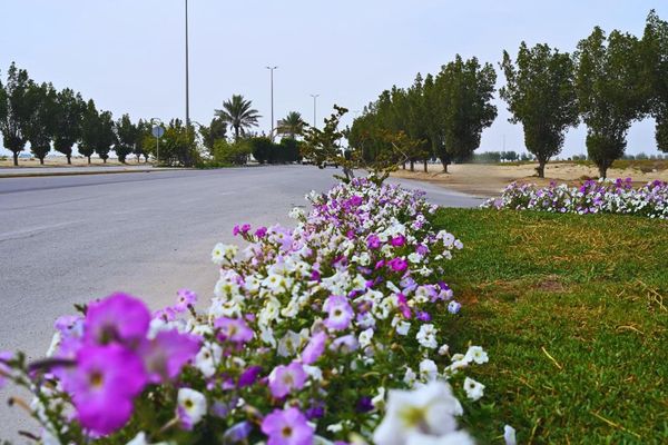 أمانة الشرقية تحقق قفزة حضرية