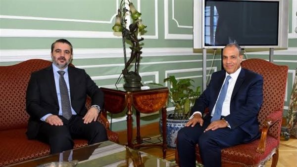 ما هي دلالات زيارة وزير الخارجية السوري أسعد الشيباني للقاهرة؟