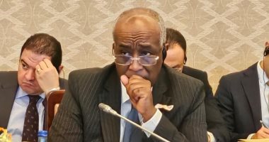 السفير محمد أبو بكر نائبا لوزير الخارجية للشئون الافريقية.. حاصل على الماجيستير من جامعة نوتردام الأمريكية.. يتمتع بخبرات دبلوماسية واسعة في ملف ليبيا.. ساهم بالترويج لتوسيع قاعدة تصدير الصناعات المصر