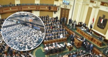 الحبس والغرامة حال إقامة مزارع سمكية على شبكات الرى والصرف الصحى