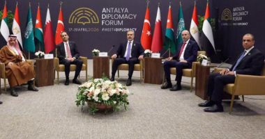 وزير الخارجية يؤكد على ثوابت الموقف المصرى من القضية الفلسطينية