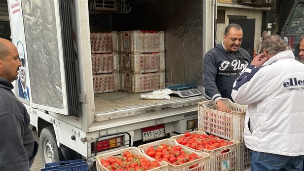 بسعر 21.5 جنيه للكيلو.. سيارات متنقلة لطرح الطماطم للمواطنين
