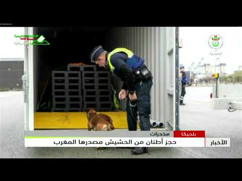 بلجيكا - مخدرات | حجز أطنان من الحشيش مصدرها المغرب