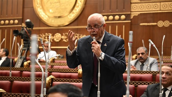 النائب حازم الجندي: زيارة الرئيس لدول الخليج نموذج الدبلوماسية النشطة لإدارة أخطر أزمات المنطقة