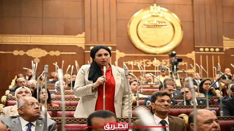 النائبة شيرين صبري: الاستثمار في الإنسان والرقابة على الأسعار أساس نجاح خطة التنمية