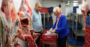 محافظ المنيا: تشميع 31 منشأة وتحرير 71 محضرا خلال حملات بمركزى المنيا وملوى