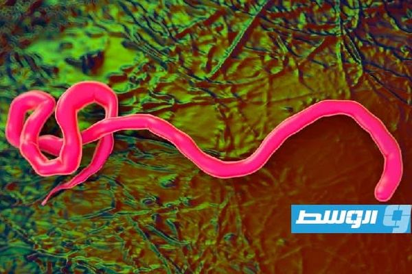 تمويل دولي وثلاثة لقاحات واعدة تحت المجهر لمحاصرة «إيبولا»