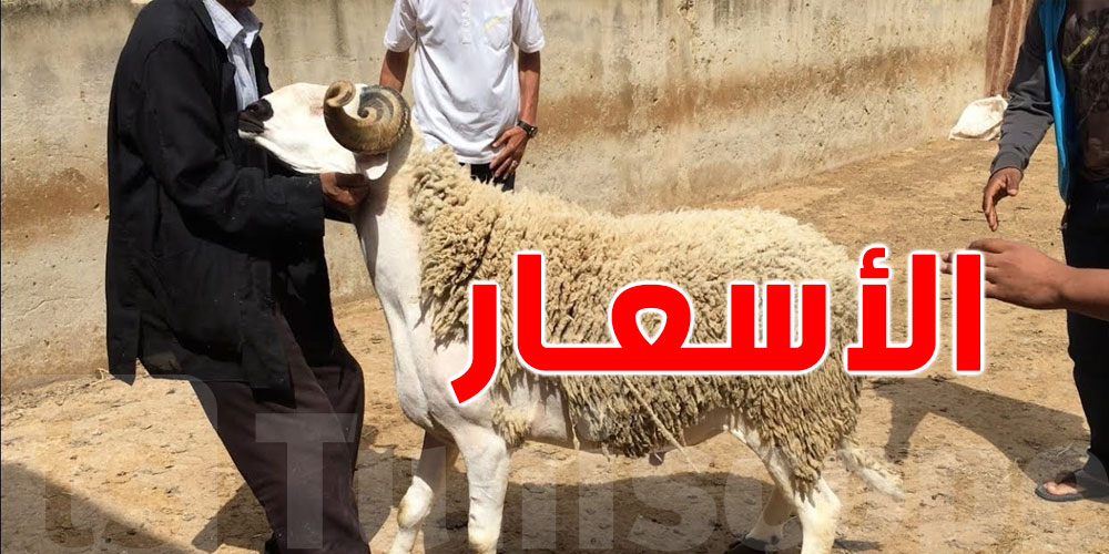 العلوش بين 900 و1600 دينار في هذه الولاية