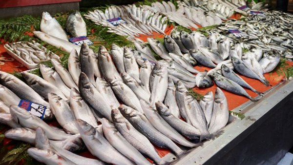 سعر السمك اليوم، ارتفاع الكابوريا 20 جنيها وانخفاض 3 أصناف منها البلطي والبوري