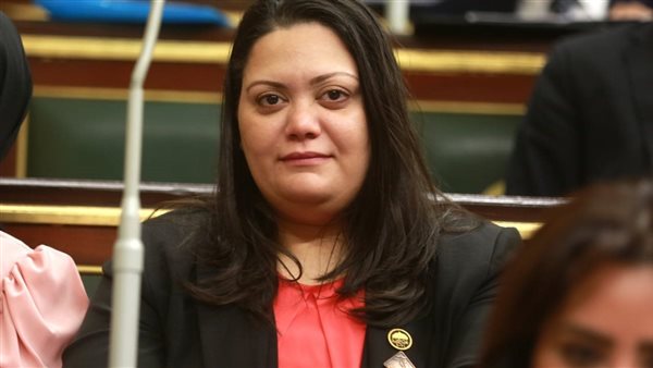 مساءلة حكومية حول تجاوزات شركات التمويل متناهي الصغر ومخالفات قرارات الرقابة المالية