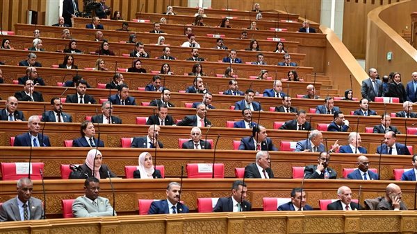 طلب إحاطة بشأن تسعير الكهرباء للعدادات الكودية وتأثيره على محدودي الدخل