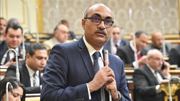 النائب إيهاب منصور: تطبيق القانون أهم من إصداره.. وسن الحضانة يجب أن يحدده المختصون علميًا