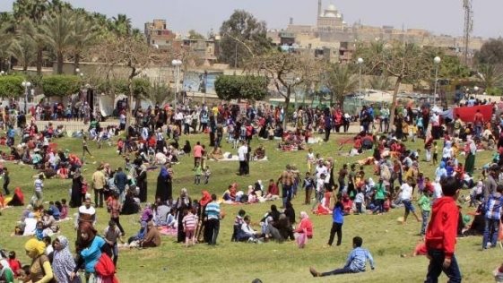 حكم الاحتفال بشم النسيم.. الأوقاف تكشف الضوابط الشرعية